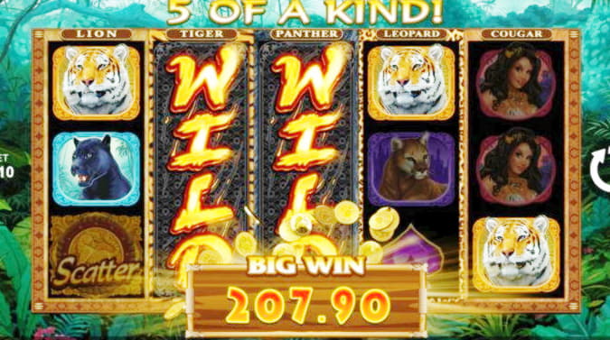 830% Бонус за казино при регистрация в Buzzluck Casino